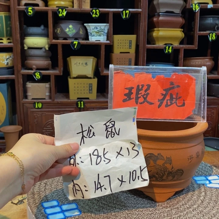 紫砂花盆紫砂花盆
