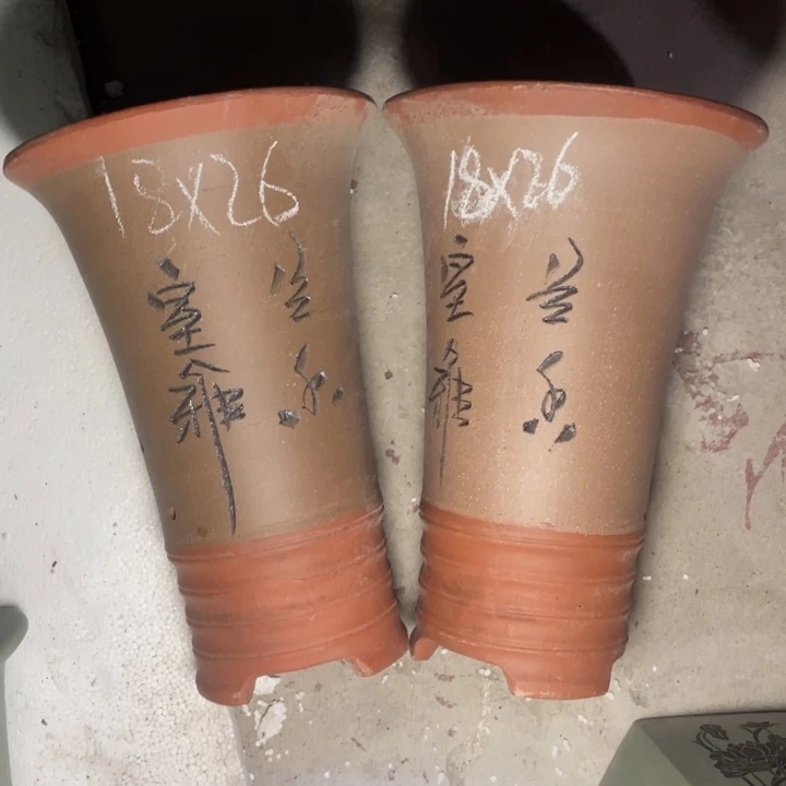 紫砂紫砂紫砂紫砂紫砂