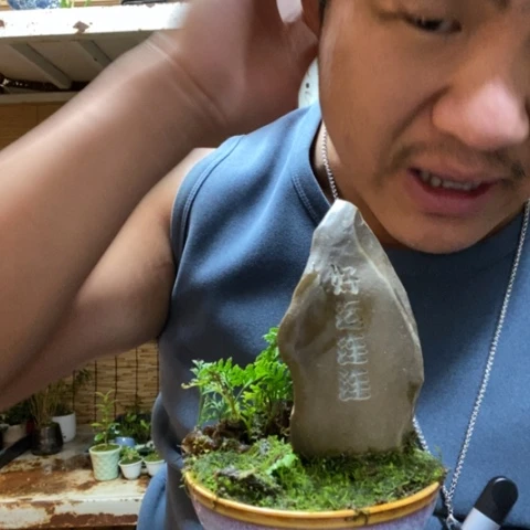 红陶一物一拍所见即所得154