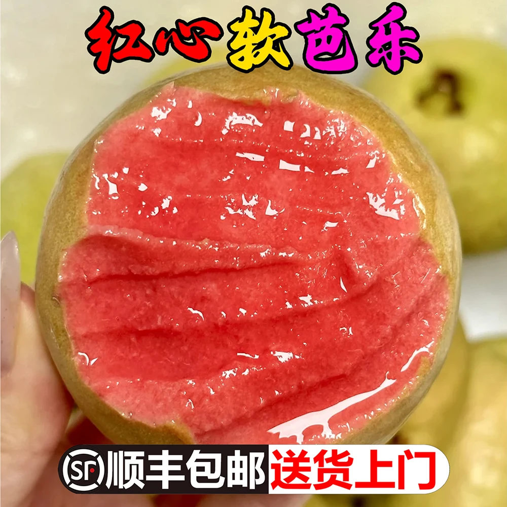 正宗福建漳州红心草莓芭乐大果冰激凌软心番石榴软糯香甜孕妇儿童应季新鲜水果4.5斤广东潮汕广西低糖鸡屎果