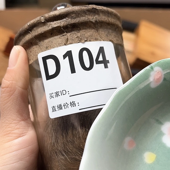 我的小可爱们都好