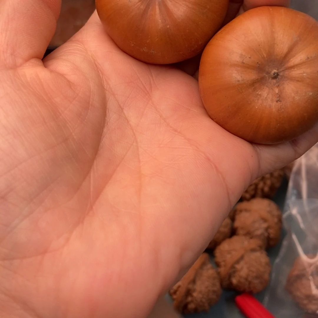 吊坠文玩核桃风流果16