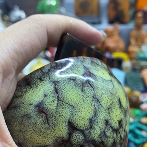 11235446654456585661