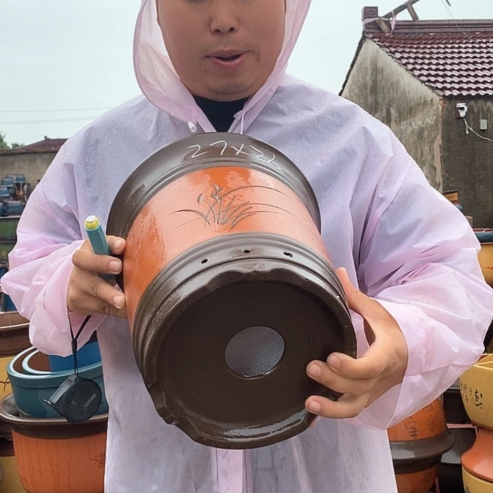 紫砂花盆盆栽观赏植物花卉