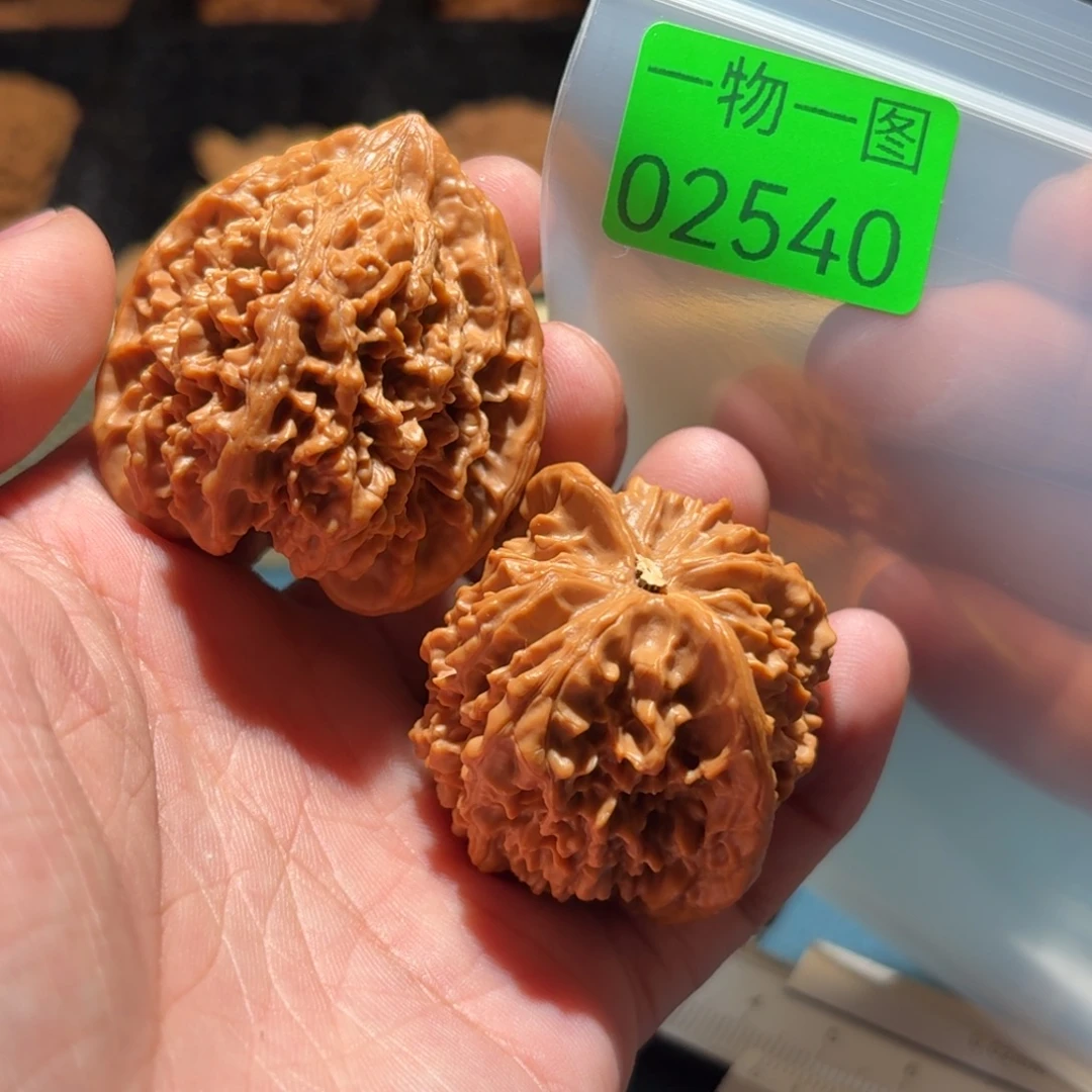文玩核桃把件满天星