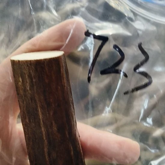 陈***晨鹿角鹿角鹿角鹿角鹿角鹿角