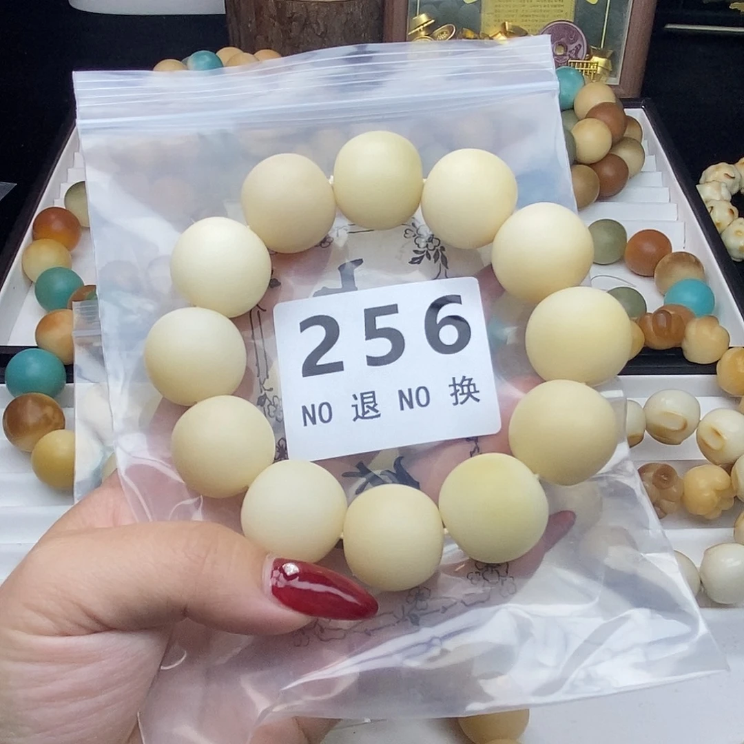 菩提根/象牙果手串A**tA 流苏补差 不退换