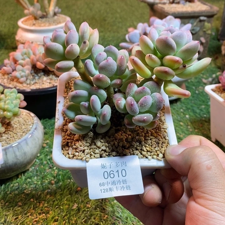 0610啊啊啊啊啊啊啊啊啊