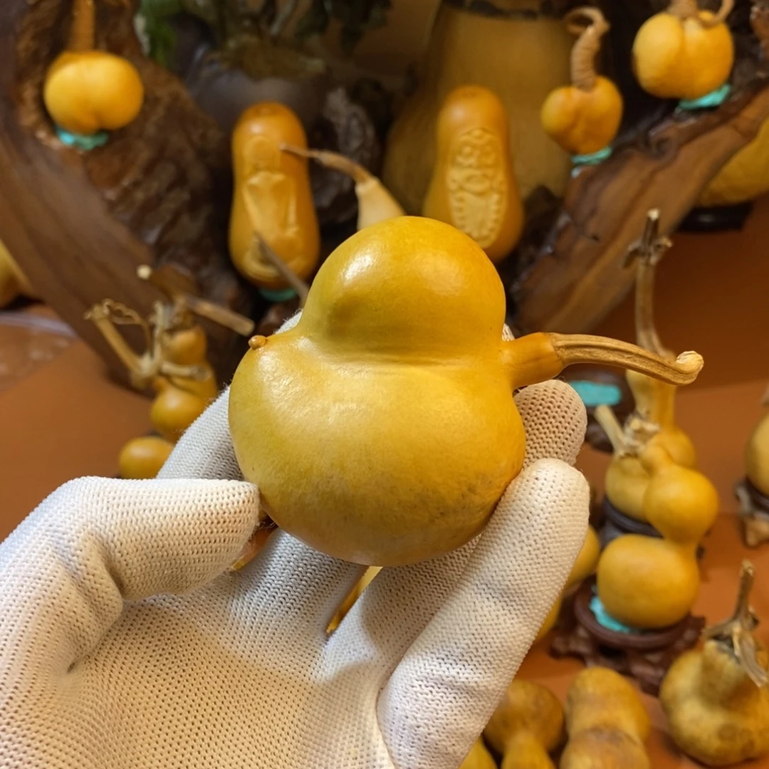 9***熊教练咯咯哦考虑路途