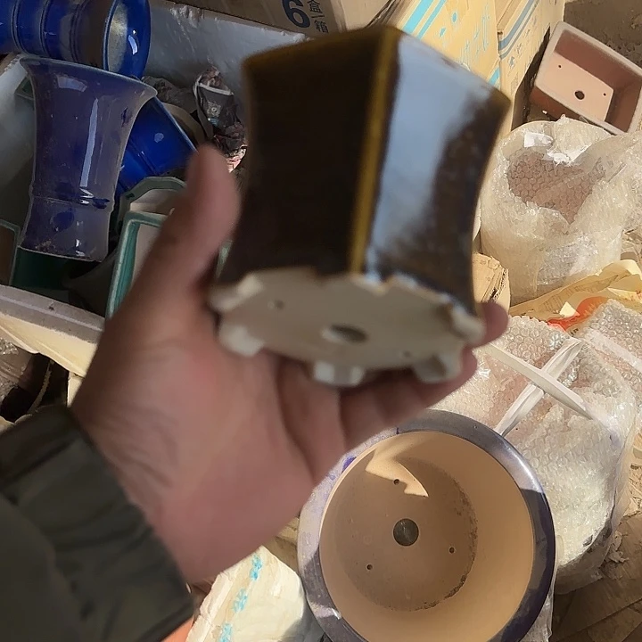 你就在家里待不着啦哈你还说要回来