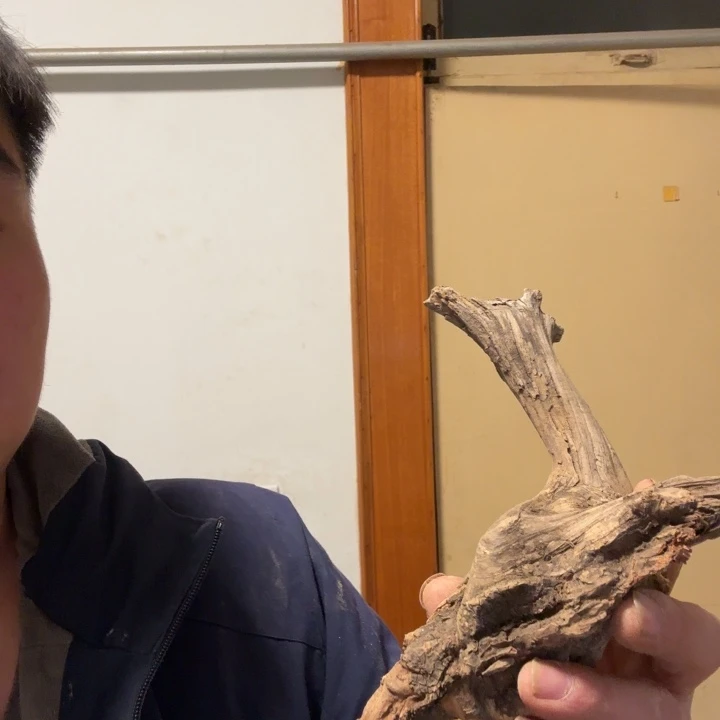 k***ⅰ木太行崖柏太行崖柏