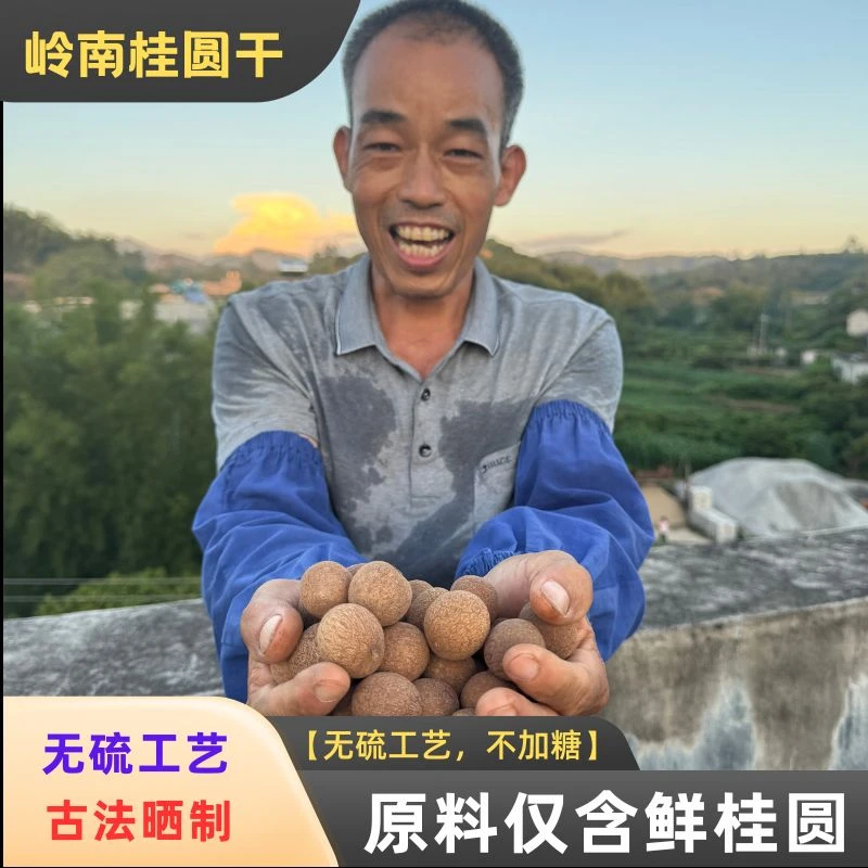 【大果桂圆干】正宗岭南特产新鲜饱满颗粒大肉厚可泡茶炖汤营养丰富