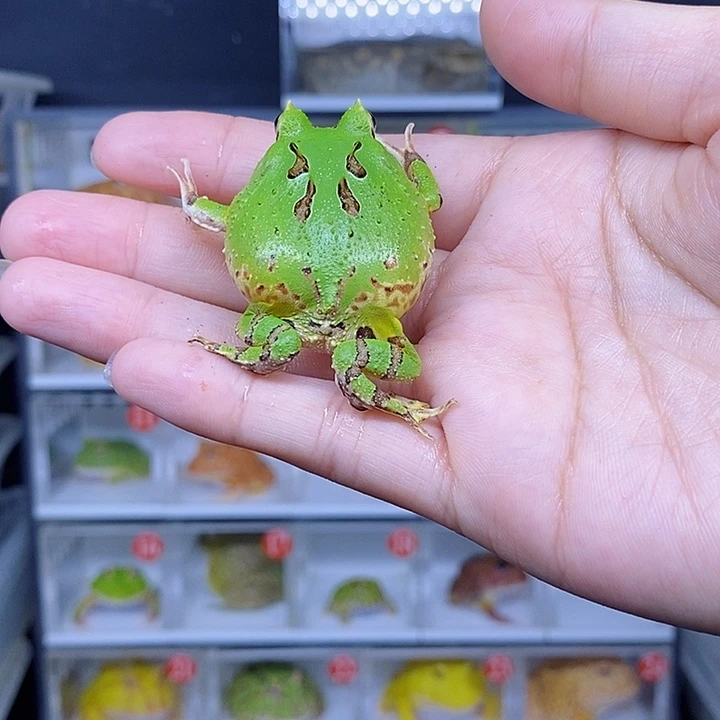 特价秒杀现货特价