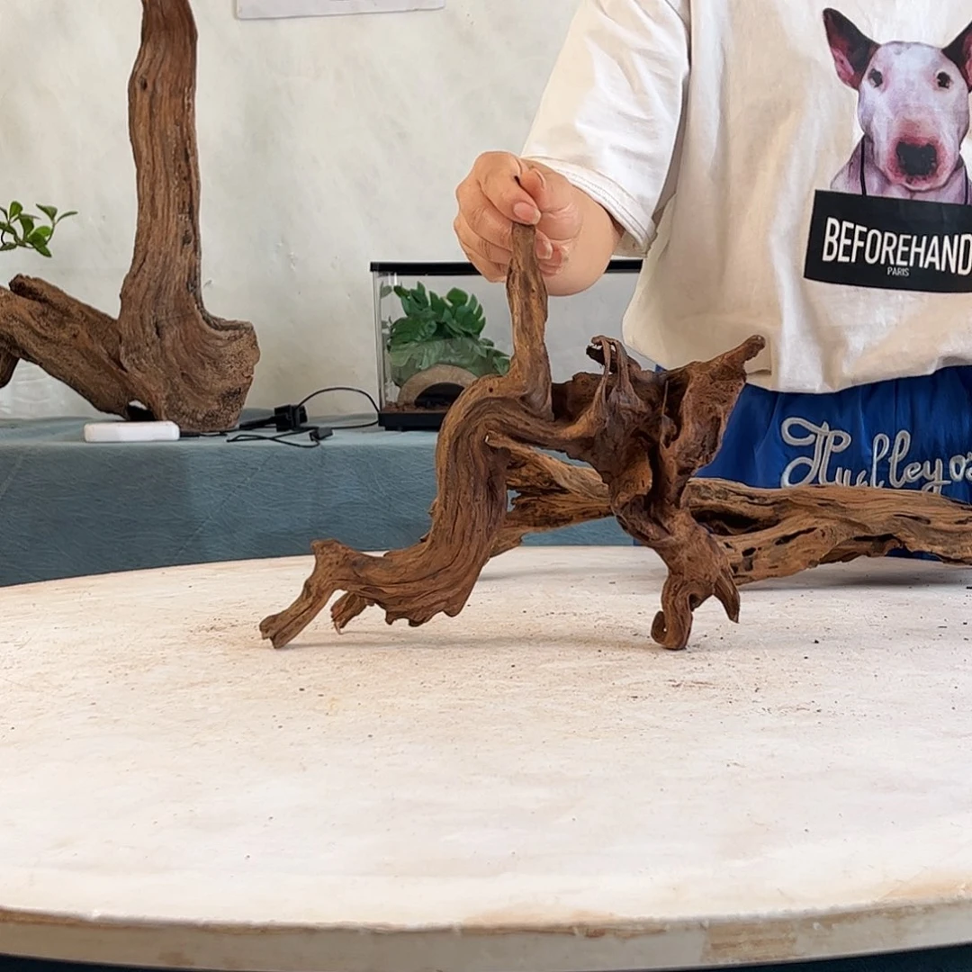 沉木造景寄居蟹景