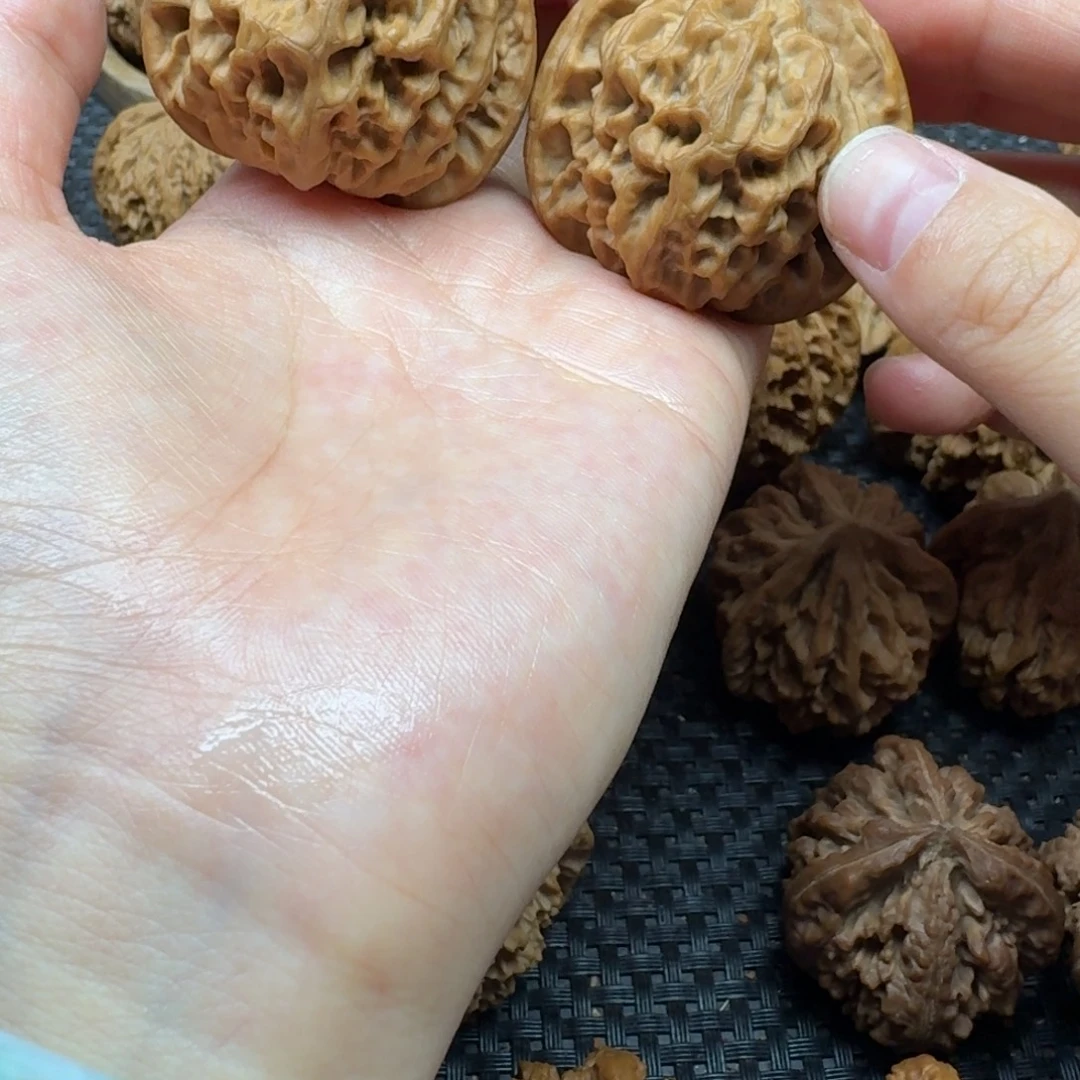 核桃42全品秦岭大花