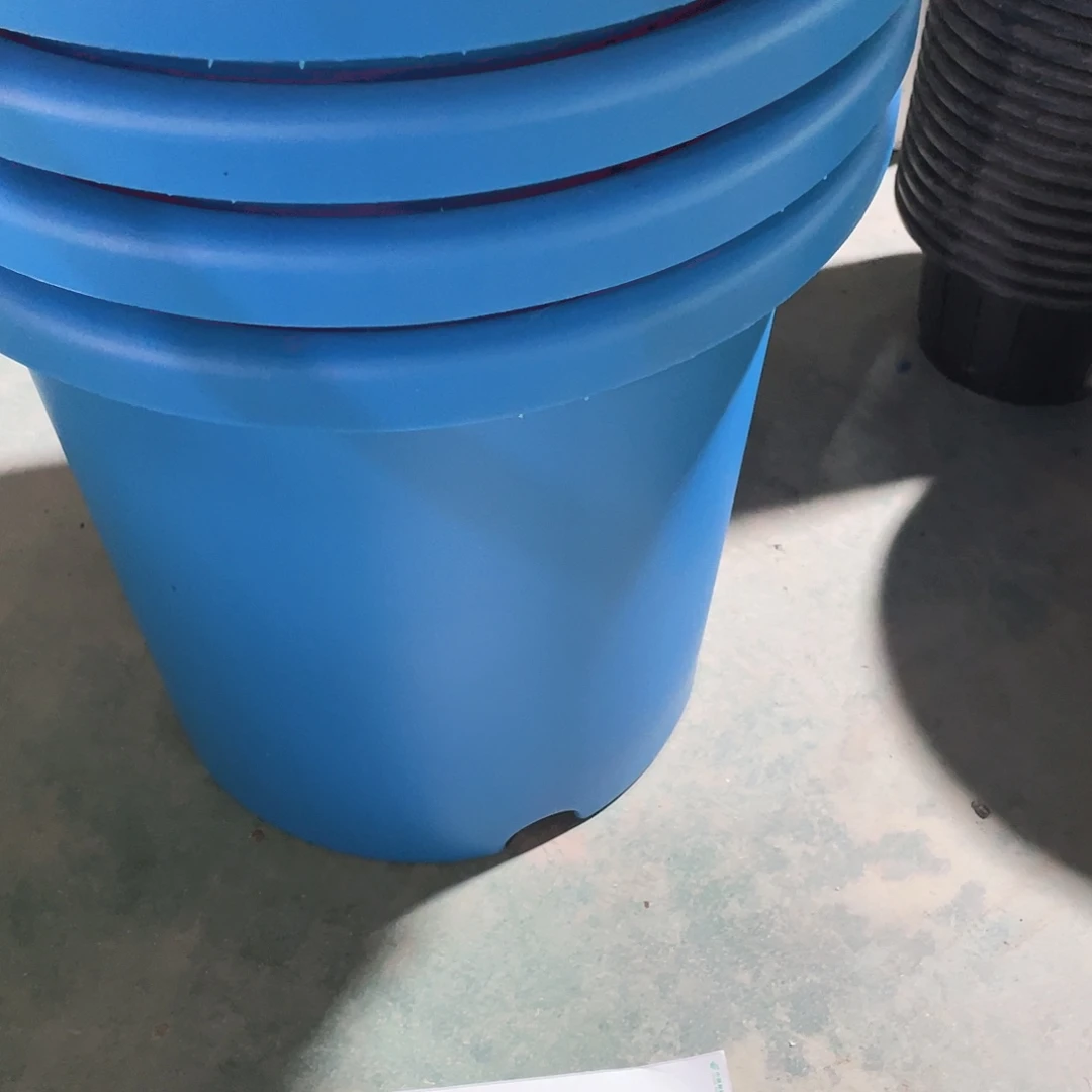 编号是13号的13号的
