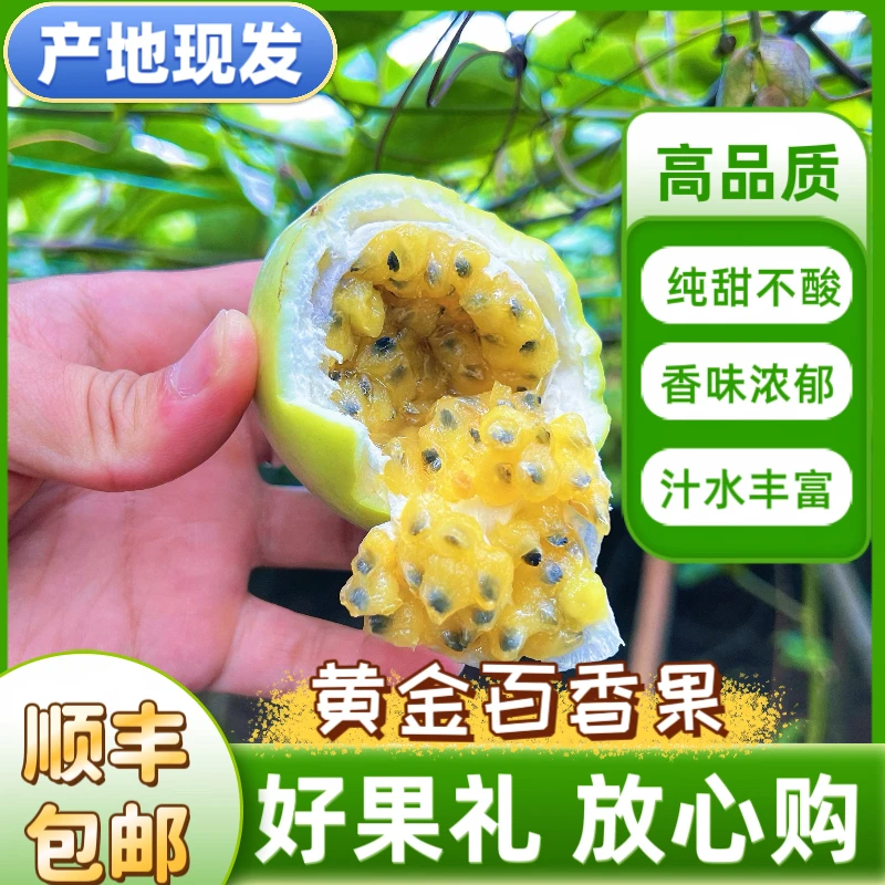 钦蜜9号黄金百香果纯甜产地新鲜发货顺丰包邮中秋送礼国庆送礼