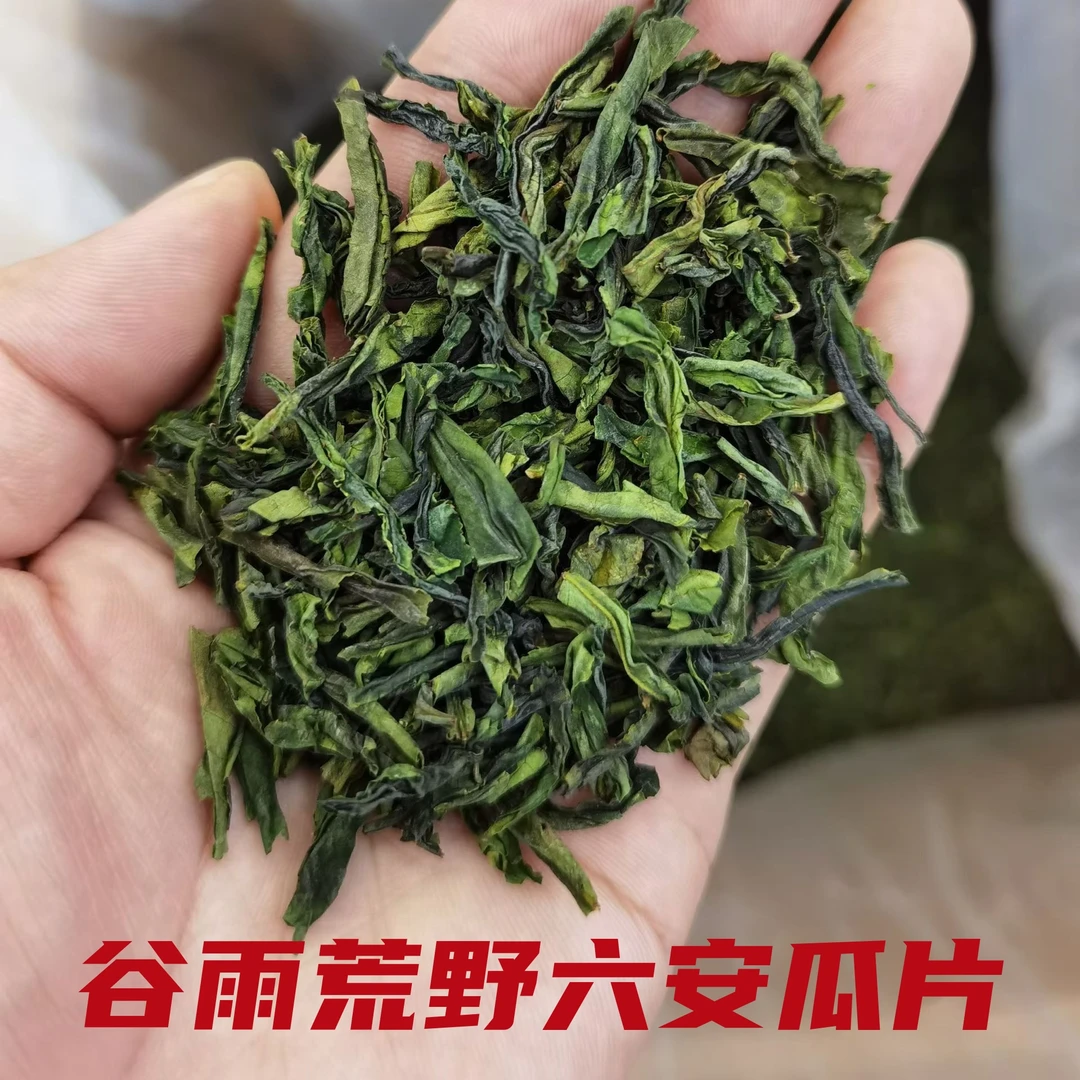 谷雨荒野六安瓜片2025新茶高山手工茶浓香耐泡茶叶绿茶500G