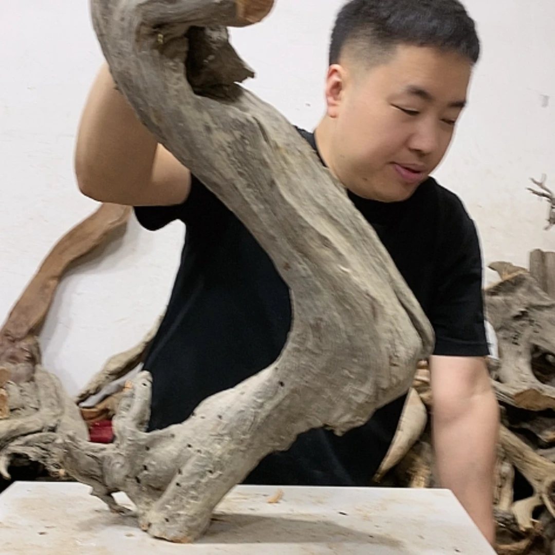 【闪购商品】柏木桑我们都是好孩子