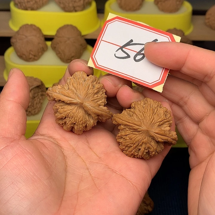 把件文玩核桃狮虎兽