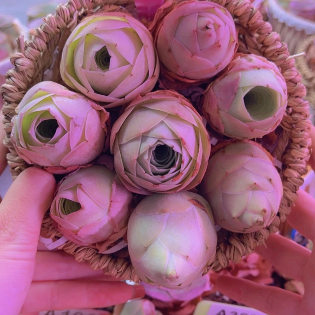 花篮一物一拍393号