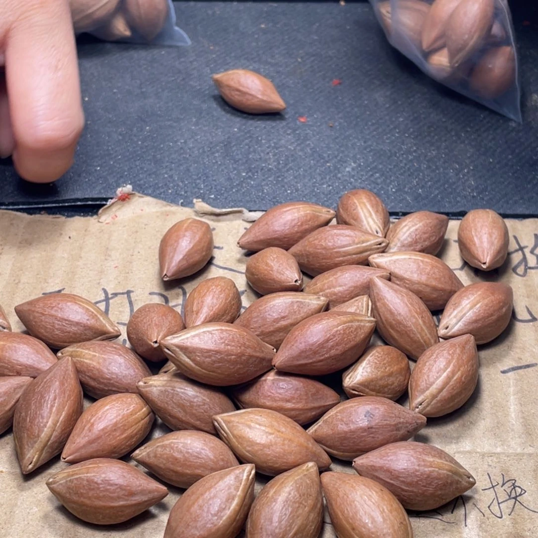 布**辣不退不换aaaaaaa