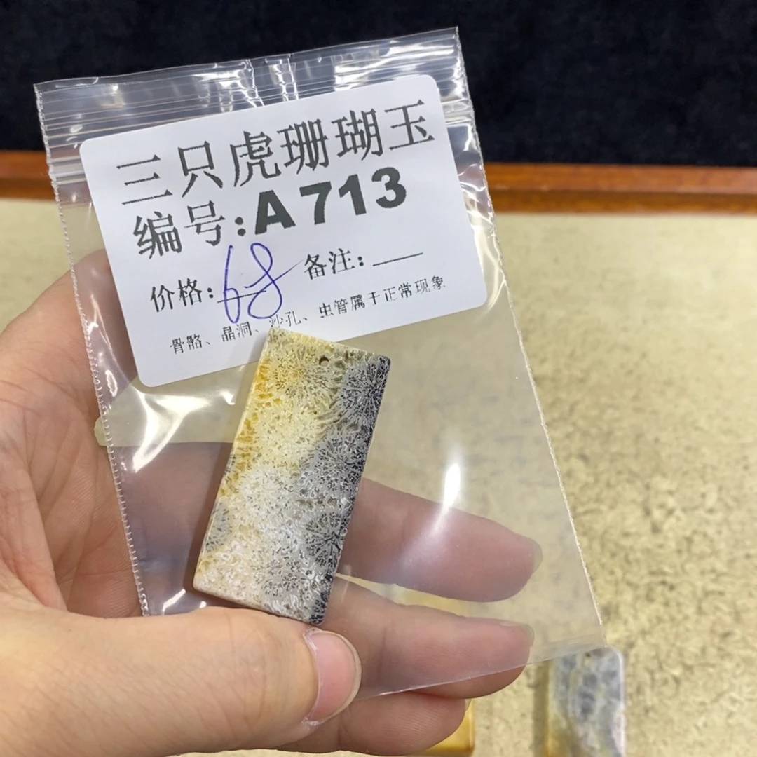 硅化珊瑚（珊瑚玉）1未镶嵌科*娜