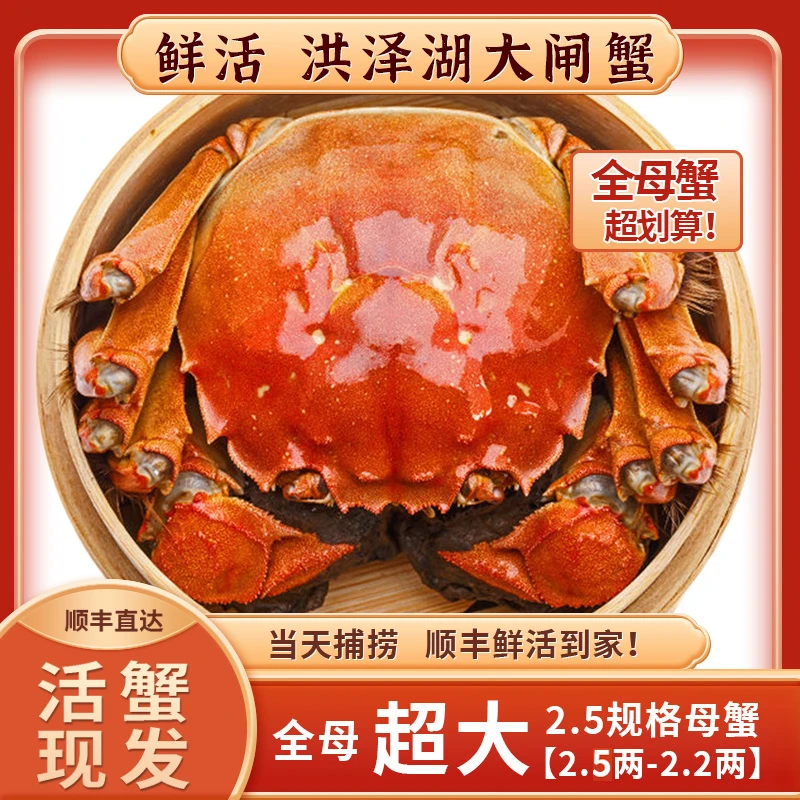【活蟹】洪泽湖大闸蟹2.5-2.2两全母蟹8只+送2只到手10只礼盒装F