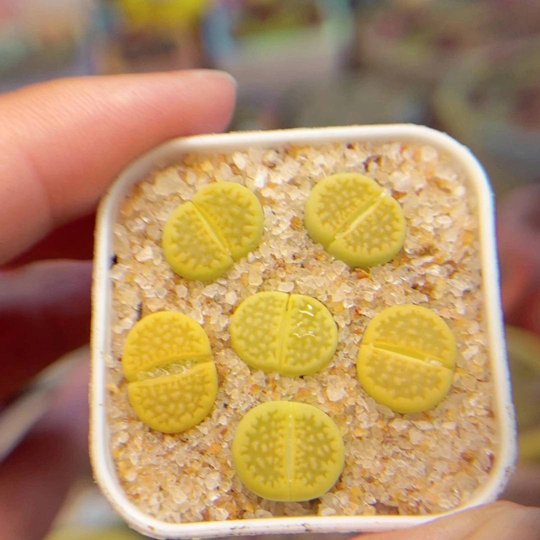 122。88888888888888888888