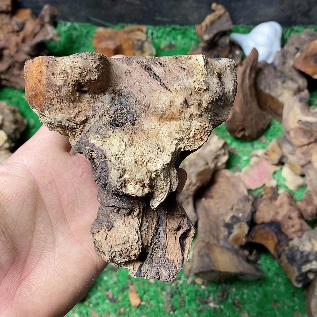 麻利疙瘩我**良73676.6.