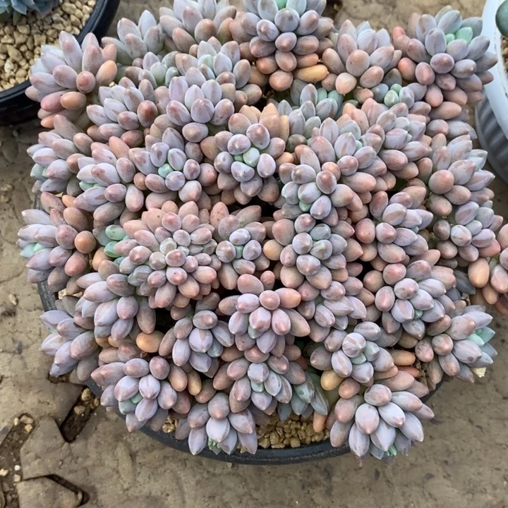星***心8888888888888888888