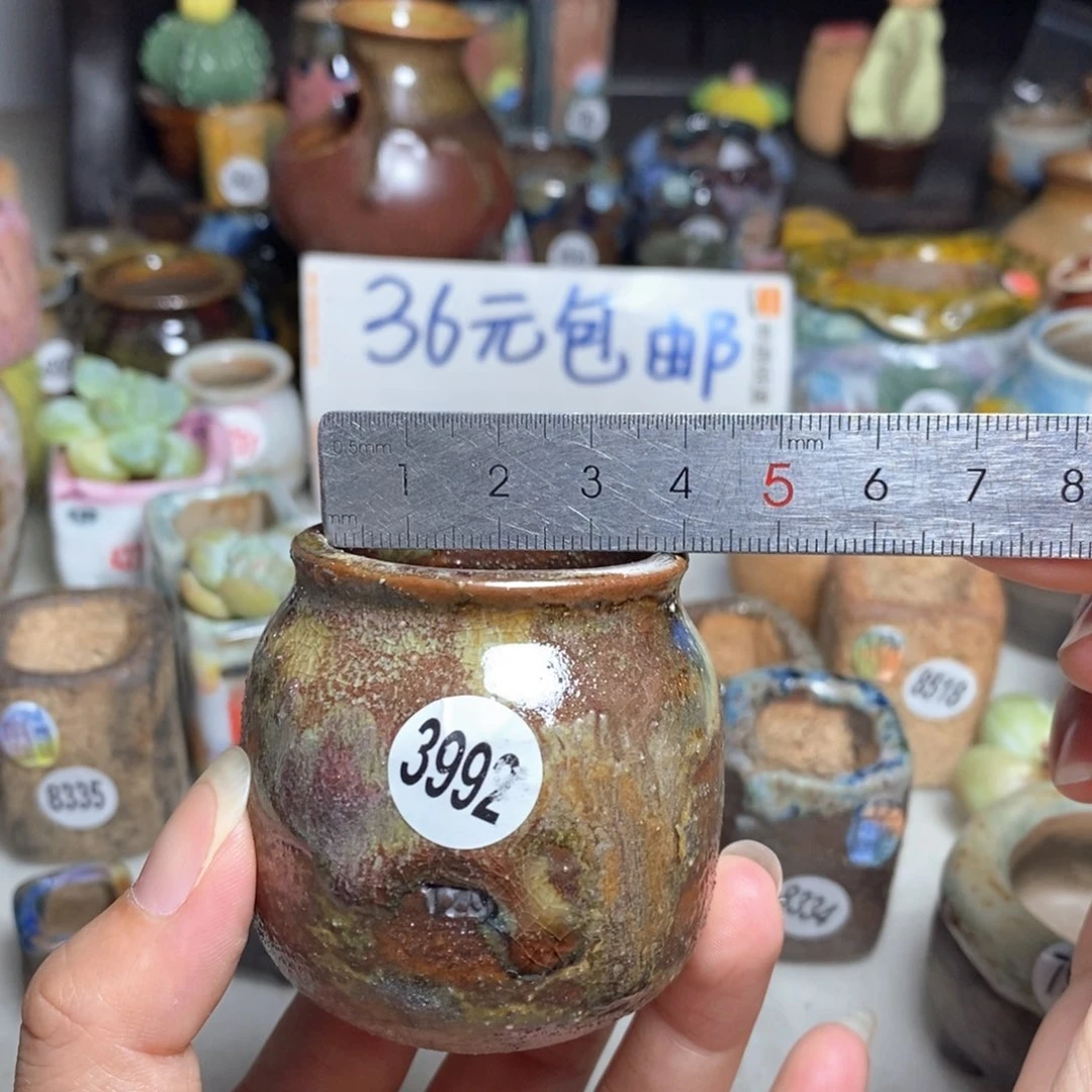 拍5送一个小礼物