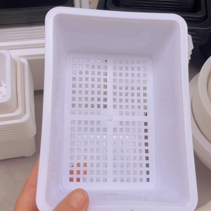 白育苗盘18 X13乂6一组10