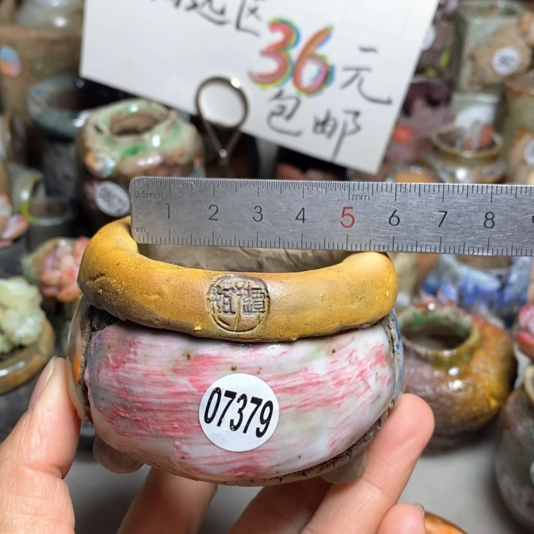 花盆拍3送一个小礼物