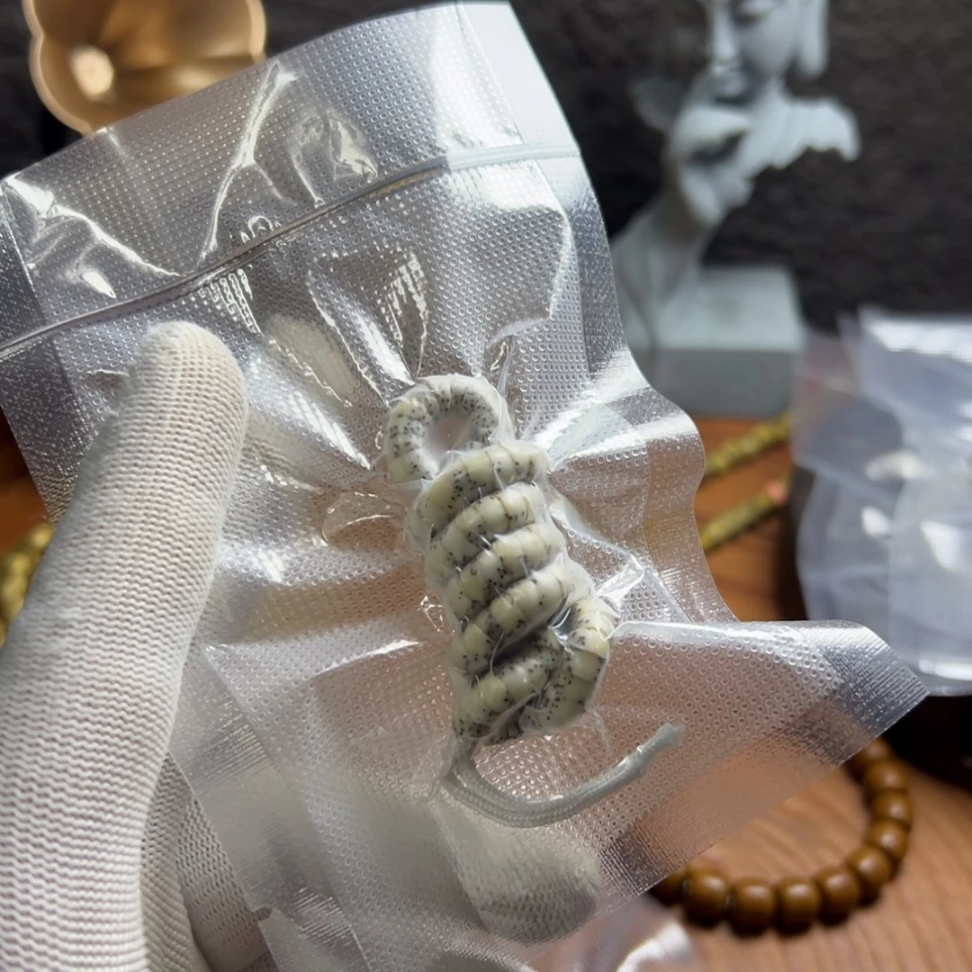 骨瓷白大肠6星月菩提石玉料手持