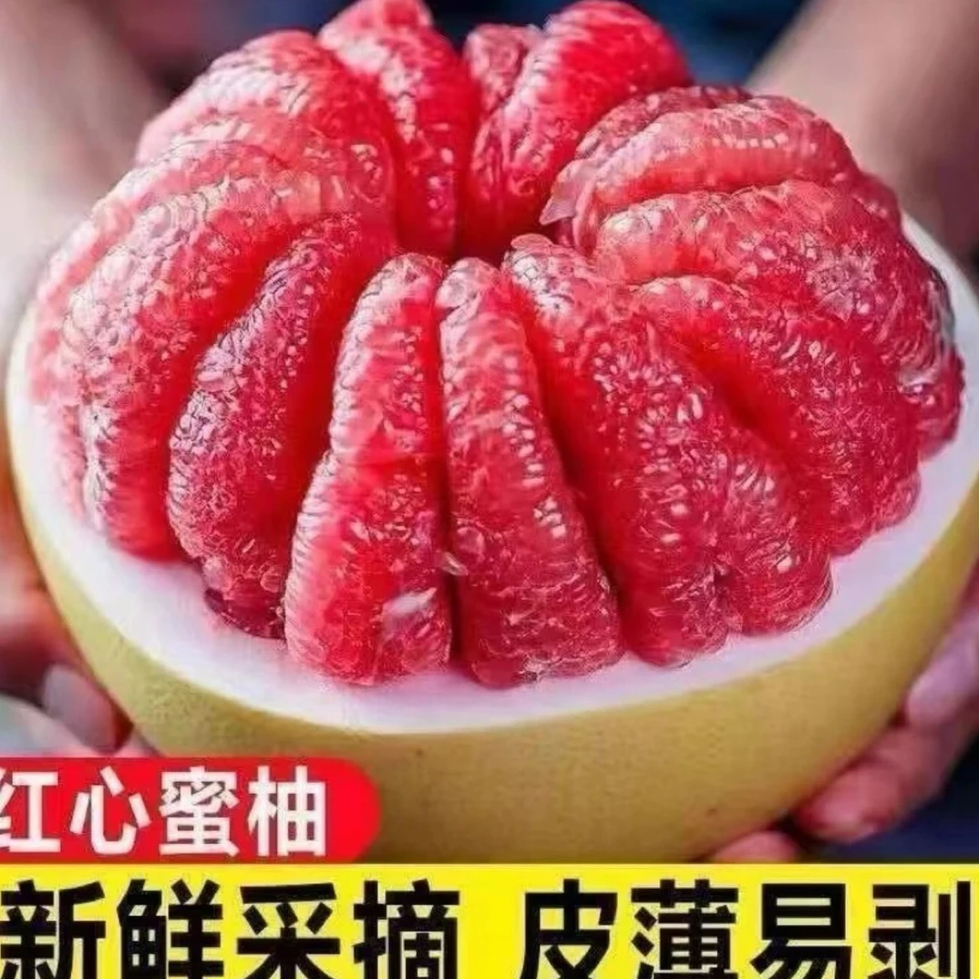 zt 福建红心蜜柚老树头茬当季新鲜水果清甜多汁