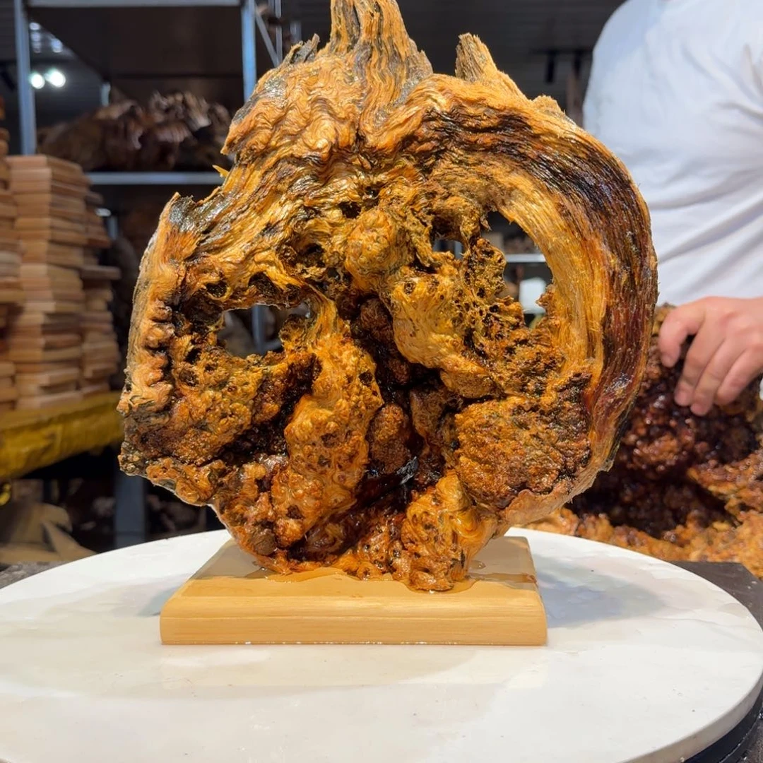 木永**福王一刀琥珀木10