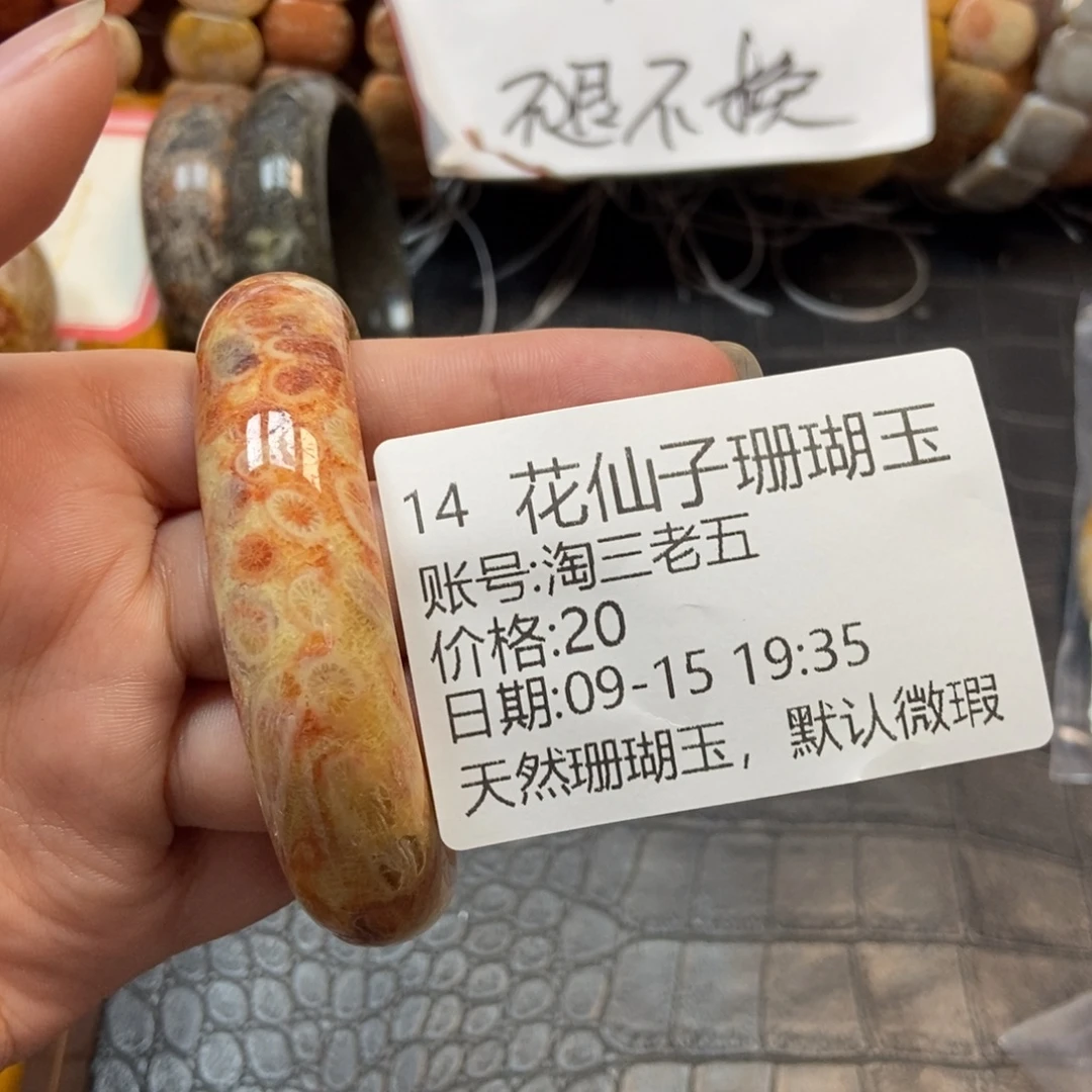 淘***五未镶嵌硅化珊瑚（珊瑚玉）珠宝半成品14