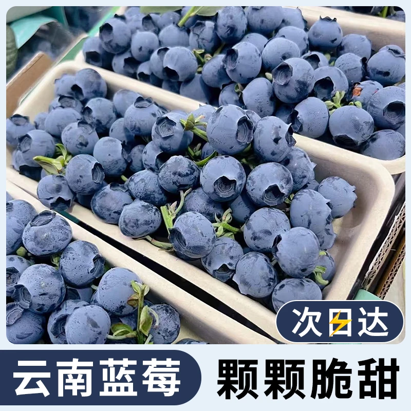 D【基地直采8盒】云南花香蓝莓鲜果高山新鲜花青素应季水果1-8盒/15-22mm/100g蓝莓同城送云南省