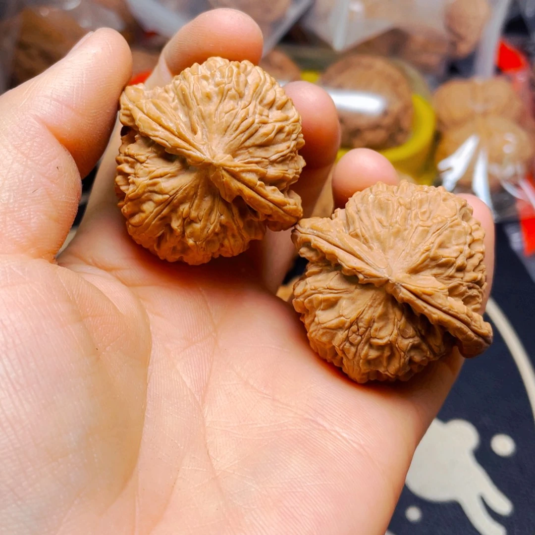 文玩核桃把件白狮子