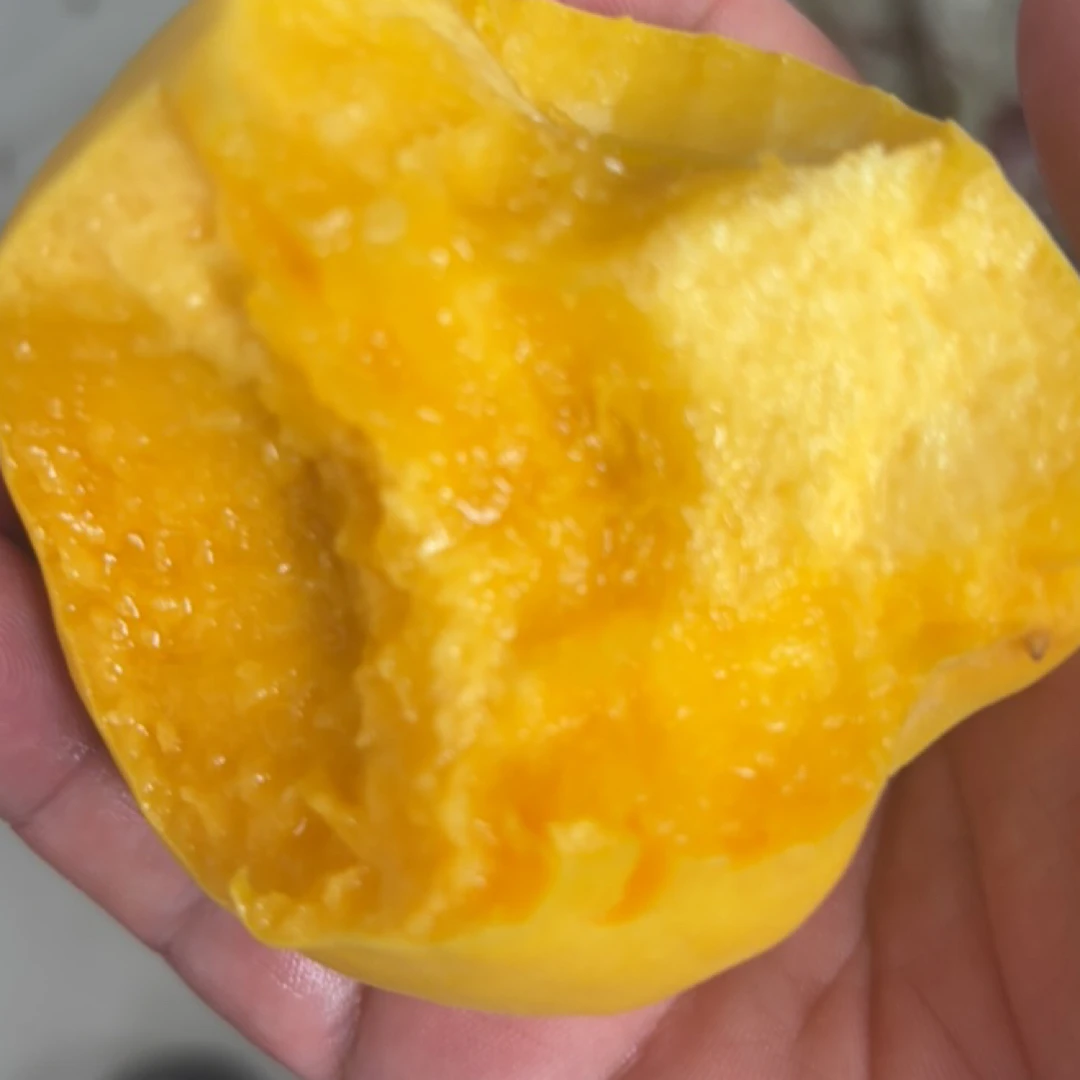 蒙阴金黄后，新鲜采摘