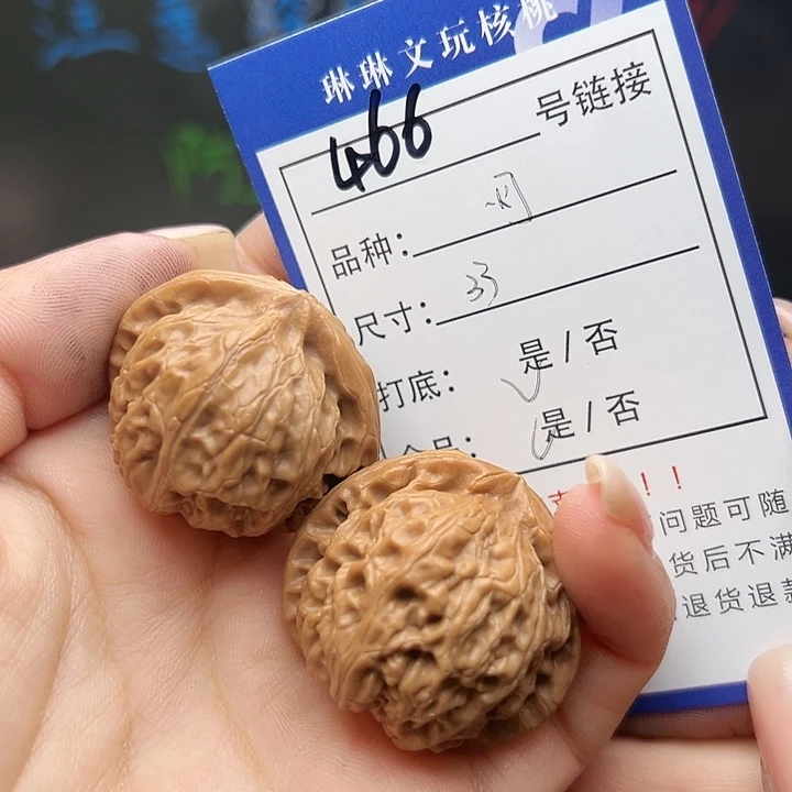 文玩核桃吊坠核桃树466