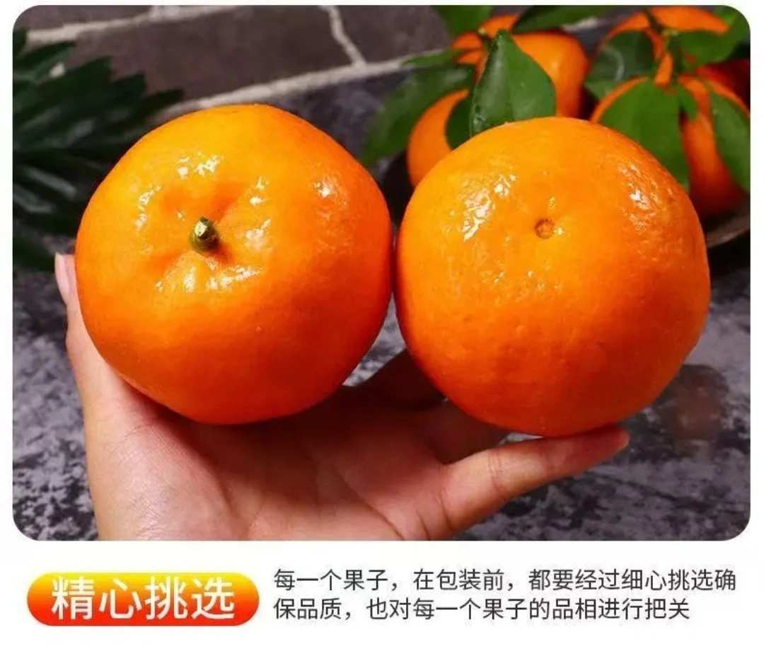 （武呜沃柑3）当季武呜沃柑皮薄多汁现摘现发（花皮不影响口感）