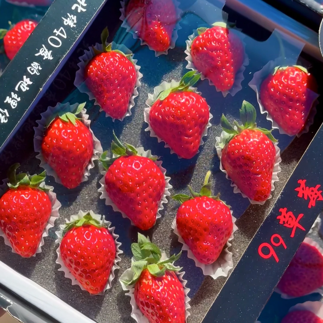 丹东九九草莓新鲜采摘应季水果红颜奶油甜大草莓孕妇放心吃安徽省