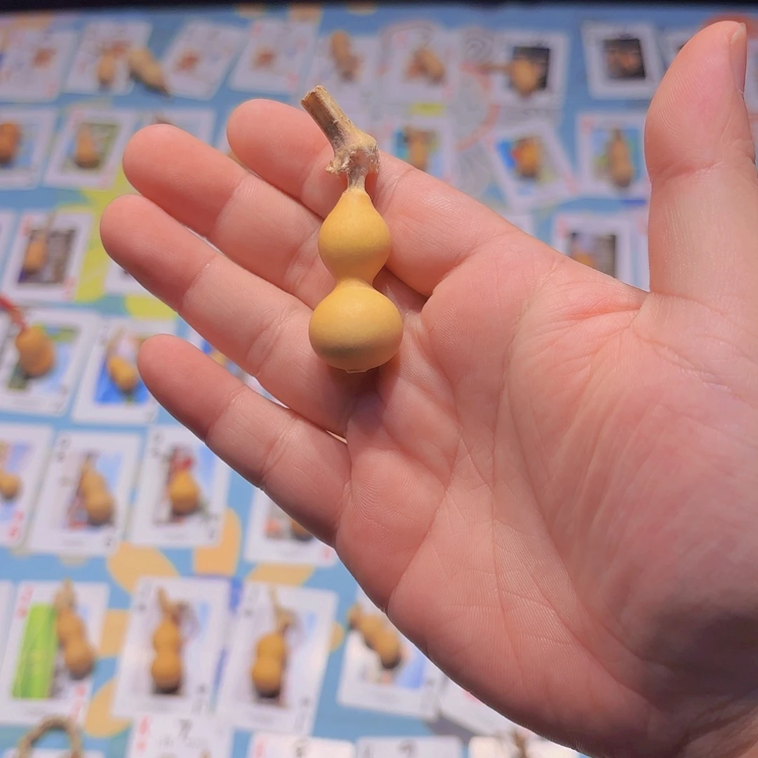 ****莎哈哈哈哈哈哈哈哈哈哈