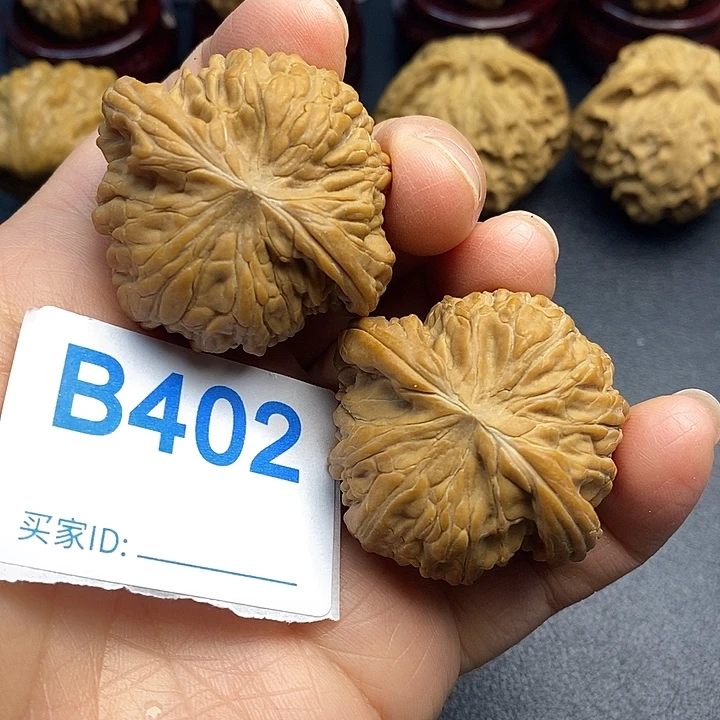 核桃磨盘4.1，山地果