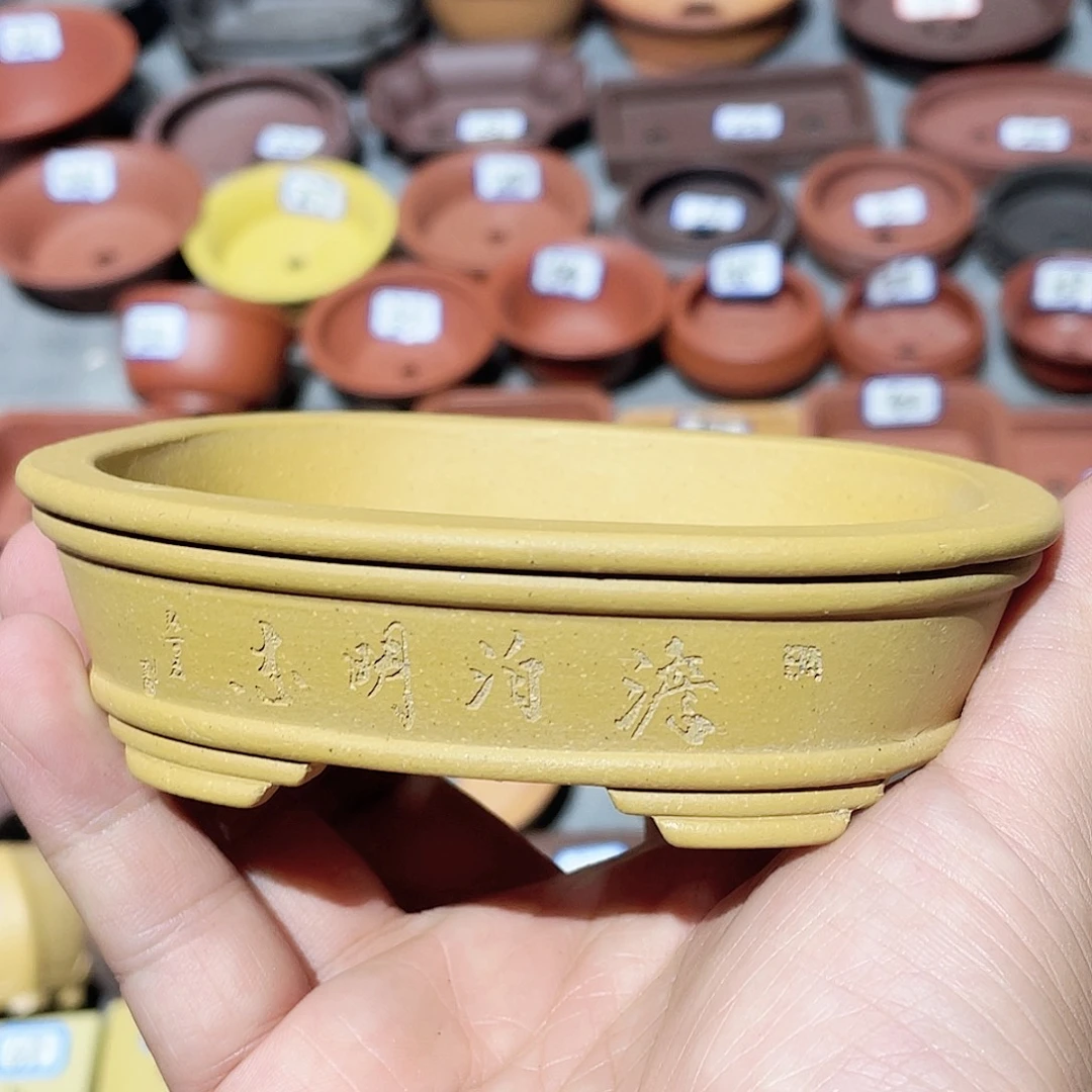 紫砂小盆10*8*2.3