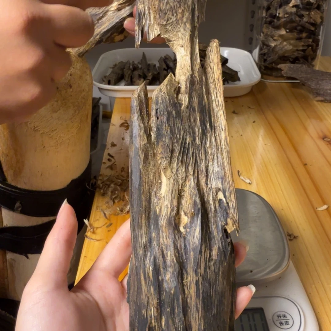 沉香绿奇虫漏香117克