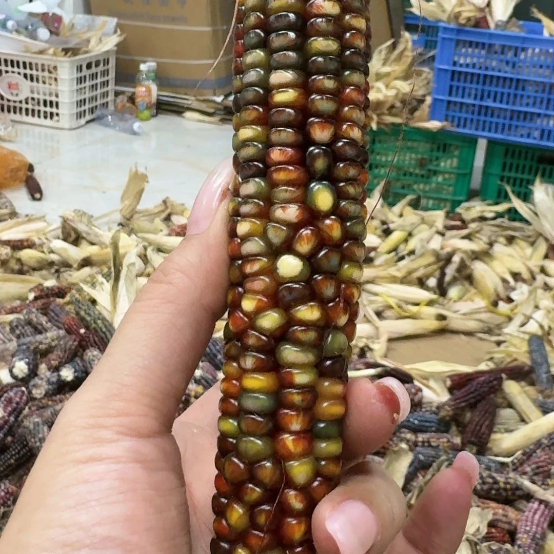 柏香籽/百香籽吊坠7*?