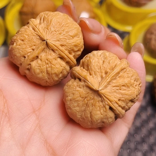 文玩核桃云铁三棱